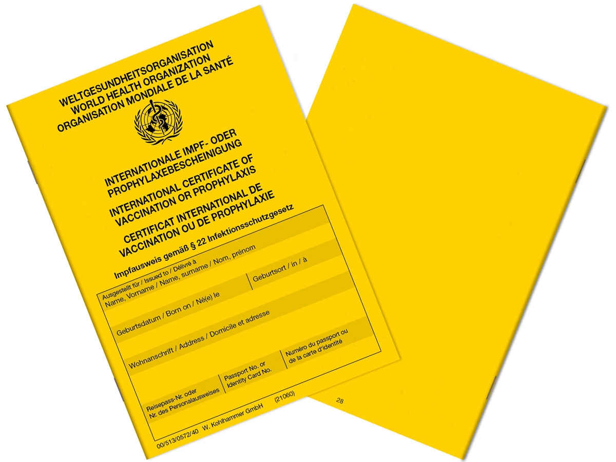 Impfausweis-schraeg_S1-28-wdhzJbyIpHEUcl Kohlhammer Impfbuch Impfpass Seite 1 u. 28